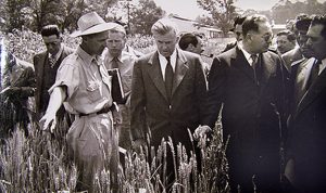 Wallace-Borlaug
