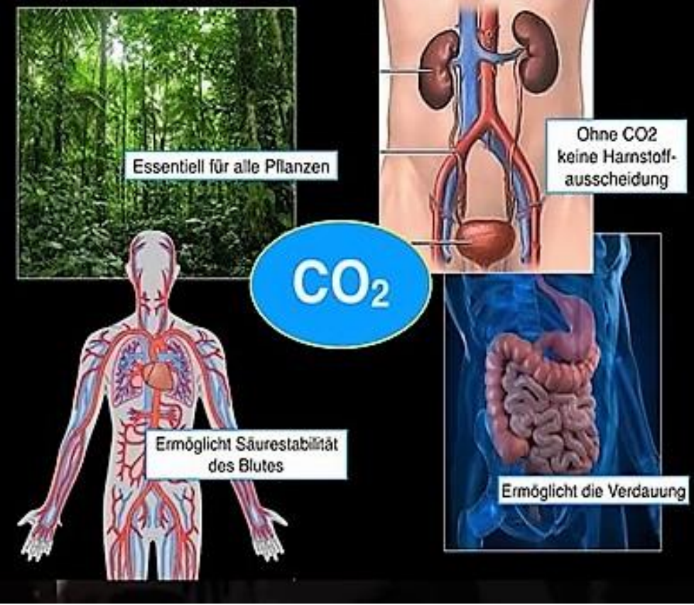 This image has an empty alt attribute; its file name is grafik-1.png